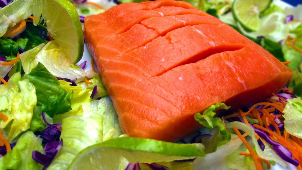 salmon, seafood, fish-395793.jpg