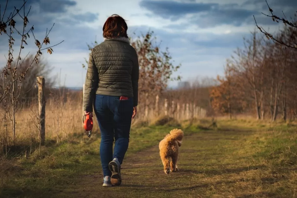 woman, dog, path-7009477.jpg