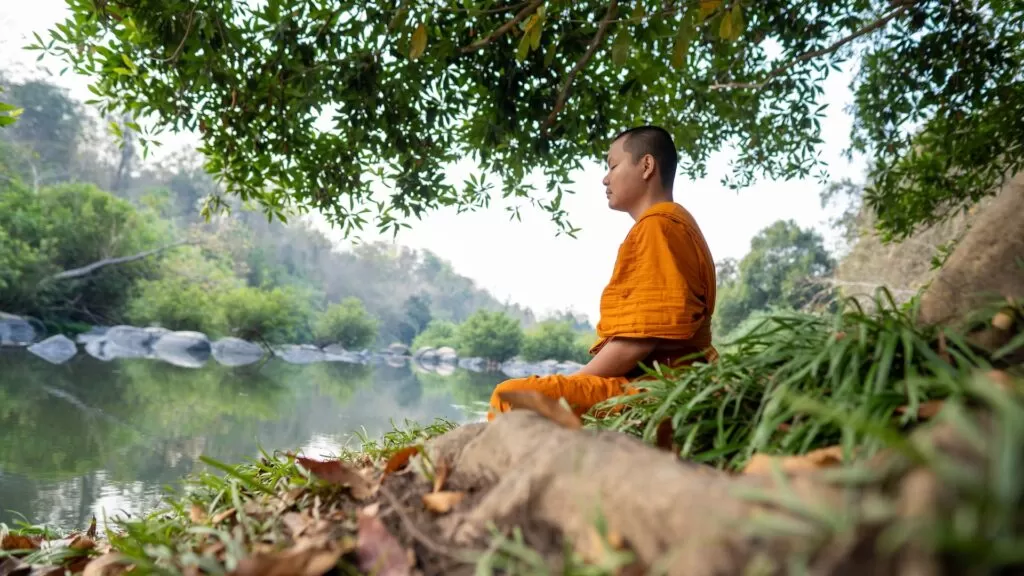 A Monk meditating under a tree by a lake.