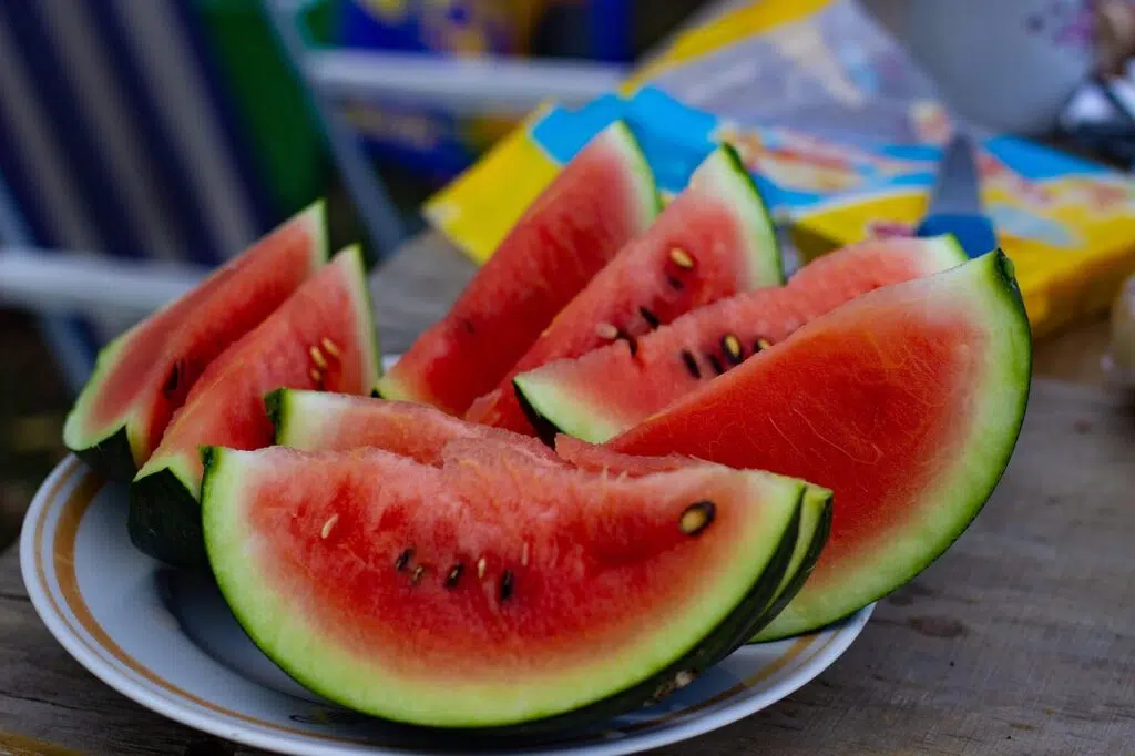 watermelon-fruit-slices-